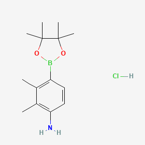 molecular formula C14H23BClNO2 B7952990 2,3-Dimethyl-4-(tetramethyl-1,3,2-dioxaborolan-2-yl)aniline hydrochloride 