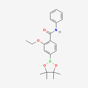 molecular formula C21H26BNO4 B7953030 2-Ethoxy-n-phenyl-4-(tetramethyl-1,3,2-dioxaborolan-2-yl)benzamide 