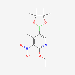 molecular formula C14H21BN2O5 B7953087 2-Ethoxy-4-methyl-3-nitro-5-(tetramethyl-1,3,2-dioxaborolan-2-yl)pyridine 