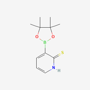 molecular formula C11H16BNO2S B7953114 3-(Tetramethyl-1,3,2-dioxaborolan-2-yl)pyridine-2-thiol 