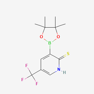 molecular formula C12H15BF3NO2S B7953117 3-(Tetramethyl-1,3,2-dioxaborolan-2-yl)-5-(trifluoromethyl)pyridine-2-thiol 