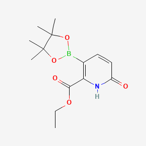 molecular formula C14H20BNO5 B7953137 Ethyl 6-hydroxy-3-(tetramethyl-1,3,2-dioxaborolan-2-yl)pyridine-2-carboxylate 