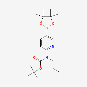 molecular formula C19H31BN2O4 B7953173 tert-Butyl N-propyl-N-[5-(tetramethyl-1,3,2-dioxaborolan-2-yl)pyridin-2-yl]carbamate 