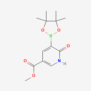 molecular formula C13H18BNO5 B7953201 Methyl 6-oxo-5-(tetramethyl-1,3,2-dioxaborolan-2-yl)-1H-pyridine-3-carboxylate 
