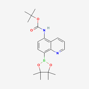 molecular formula C20H27BN2O4 B7953256 tert-Butyl N-[8-(tetramethyl-1,3,2-dioxaborolan-2-yl)quinolin-5-yl]carbamate 
