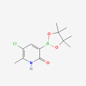 molecular formula C12H17BClNO3 B7953278 5-Chloro-6-methyl-3-(tetramethyl-1,3,2-dioxaborolan-2-yl)pyridin-2-ol 