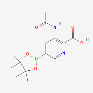 molecular formula C14H19BN2O5 B7953289 3-Acetamido-5-(tetramethyl-1,3,2-dioxaborolan-2-yl)pyridine-2-carboxylic acid 