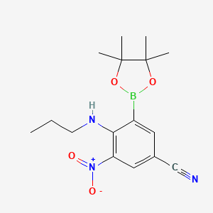 molecular formula C16H22BN3O4 B7953389 3-Nitro-4-(propylamino)-5-(tetramethyl-1,3,2-dioxaborolan-2-yl)benzonitrile 