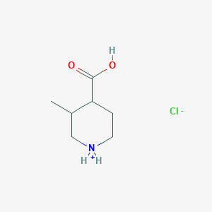 molecular formula C7H14ClNO2 B7953423 3-Methylpiperidin-1-ium-4-carboxylic acid;chloride 