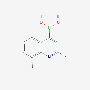 molecular formula C11H12BNO2 B7953670 (2,8-Dimethylquinolin-4-yl)boronic acid 