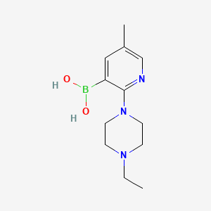 molecular formula C12H20BN3O2 B7953711 [2-(4-Ethylpiperazin-1-yl)-5-methylpyridin-3-yl]boronic acid 