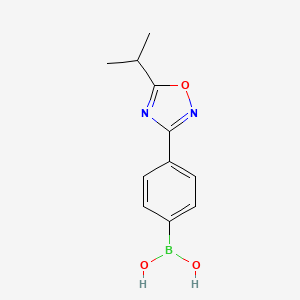 molecular formula C11H13BN2O3 B7953717 [4-(5-Isopropyl-1,2,4-oxadiazol-3-yl)phenyl]boronic acid 
