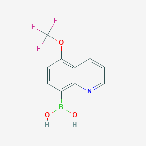 molecular formula C10H7BF3NO3 B7953719 [5-(Trifluoromethoxy)quinolin-8-yl]boronic acid 