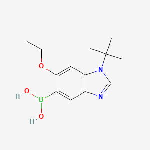 molecular formula C13H19BN2O3 B7953734 (1-tert-Butyl-6-ethoxy-1,3-benzodiazol-5-yl)boronic acid 