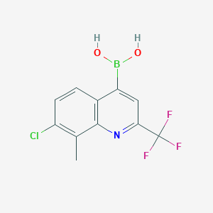 molecular formula C11H8BClF3NO2 B7953746 [7-Chloro-8-methyl-2-(trifluoromethyl)quinolin-4-yl]boronic acid 