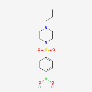 molecular formula C13H21BN2O4S B7953764 [4-(4-Propylpiperazine-1-sulfonyl)phenyl]boronic acid 