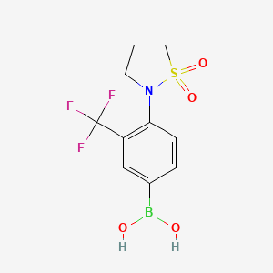 molecular formula C10H11BF3NO4S B7953782 4-(1,1-Dioxo-1,2-thiazolidin-2-yl)-3-(trifluoromethyl)phenylboronic acid 