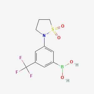 molecular formula C10H11BF3NO4S B7953788 3-(1,1-Dioxo-1,2-thiazolidin-2-yl)-5-(trifluoromethyl)phenylboronic acid 