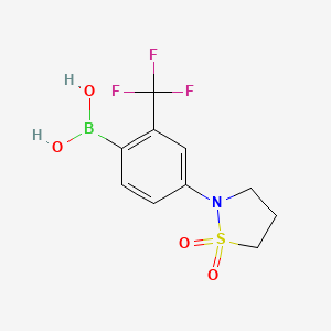 molecular formula C10H11BF3NO4S B7953792 4-(1,1-Dioxo-1,2-thiazolidin-2-yl)-2-(trifluoromethyl)phenylboronic acid 