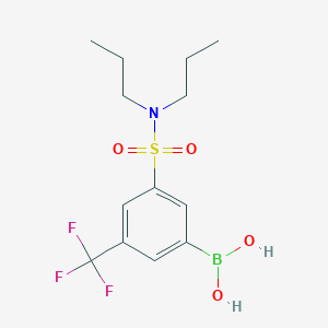 molecular formula C13H19BF3NO4S B7953814 [3-(Dipropylsulfamoyl)-5-(trifluoromethyl)phenyl]boronic acid 