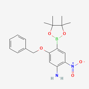 molecular formula C19H23BN2O5 B7953926 5-(Benzyloxy)-2-nitro-4-(tetramethyl-1,3,2-dioxaborolan-2-yl)aniline 