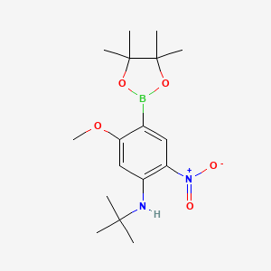 molecular formula C17H27BN2O5 B7953930 N-tert-Butyl-5-methoxy-2-nitro-4-(tetramethyl-1,3,2-dioxaborolan-2-yl)aniline 
