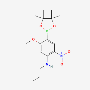 molecular formula C16H25BN2O5 B7953939 5-Methoxy-2-nitro-N-propyl-4-(tetramethyl-1,3,2-dioxaborolan-2-yl)aniline 