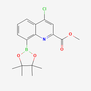 molecular formula C17H19BClNO4 B7953963 Methyl 4-chloro-8-(tetramethyl-1,3,2-dioxaborolan-2-yl)quinoline-2-carboxylate 