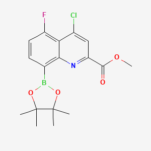 molecular formula C17H18BClFNO4 B7953969 Methyl 4-chloro-5-fluoro-8-(tetramethyl-1,3,2-dioxaborolan-2-yl)quinoline-2-carboxylate 