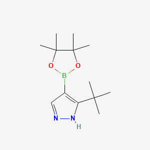 molecular formula C13H23BN2O2 B7954037 3-tert-Butyl-4-(tetramethyl-1,3,2-dioxaborolan-2-yl)-2H-pyrazole 