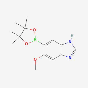 molecular formula C14H19BN2O3 B7954042 5-Methoxy-6-(tetramethyl-1,3,2-dioxaborolan-2-yl)-3H-1,3-benzodiazole 
