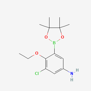 molecular formula C14H21BClNO3 B7954102 3-Chloro-4-ethoxy-5-(tetramethyl-1,3,2-dioxaborolan-2-yl)aniline 