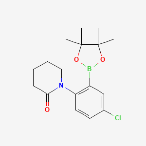 molecular formula C17H23BClNO3 B7954114 1-[4-Chloro-2-(tetramethyl-1,3,2-dioxaborolan-2-yl)phenyl]piperidin-2-one 