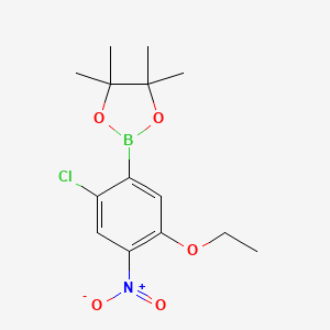 molecular formula C14H19BClNO5 B7954126 2-(2-Chloro-5-ethoxy-4-nitrophenyl)-4,4,5,5-tetramethyl-1,3,2-dioxaborolane 
