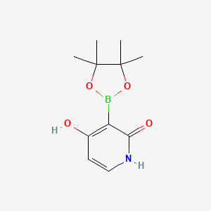 molecular formula C11H16BNO4 B7954163 3-(Tetramethyl-1,3,2-dioxaborolan-2-yl)pyridine-2,4-diol 