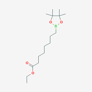 molecular formula C16H31BO4 B7954282 Ethyl 8-(tetramethyl-1,3,2-dioxaborolan-2-yl)octanoate 