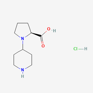 molecular formula C10H19ClN2O2 B7954589 (2S)-1-(Piperidin-4-YL)pyrrolidine-2-carboxylic acid hcl 