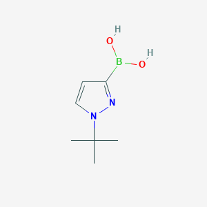 molecular formula C7H13BN2O2 B7954627 (1-tert-Butylpyrazol-3-yl)boronic acid 