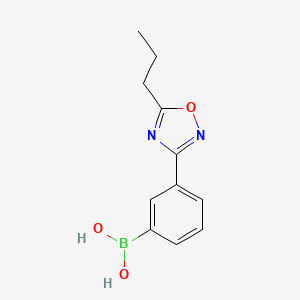 molecular formula C11H13BN2O3 B7954727 [3-(5-Propyl-1,2,4-oxadiazol-3-yl)phenyl]boronic acid 