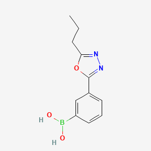 molecular formula C11H13BN2O3 B7954749 [3-(5-Propyl-1,3,4-oxadiazol-2-yl)phenyl]boronic acid 