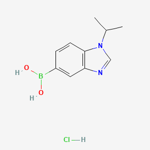 molecular formula C10H14BClN2O2 B7954757 (1-Isopropyl-1,3-benzodiazol-5-yl)boronic acid hydrochloride 