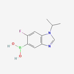 molecular formula C10H12BFN2O2 B7954770 (6-Fluoro-1-isopropyl-1,3-benzodiazol-5-yl)boronic acid 