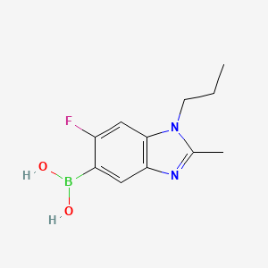 molecular formula C11H14BFN2O2 B7954798 (6-Fluoro-2-methyl-1-propyl-1,3-benzodiazol-5-yl)boronic acid 
