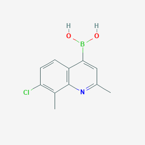 molecular formula C11H11BClNO2 B7954823 (7-Chloro-2,8-dimethylquinolin-4-yl)boronic acid 
