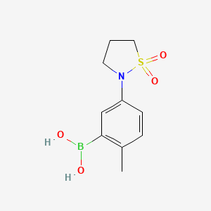 molecular formula C10H14BNO4S B7954829 5-(1,1-Dioxo-1,2-thiazolidin-2-yl)-2-methylphenylboronic acid 
