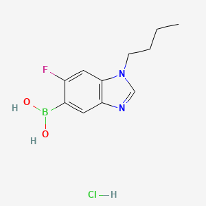 molecular formula C11H15BClFN2O2 B7954834 (1-Butyl-6-fluoro-1,3-benzodiazol-5-yl)boronic acid hydrochloride 