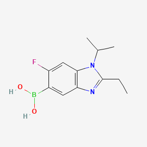 molecular formula C12H16BFN2O2 B7954835 (2-Ethyl-6-fluoro-1-isopropyl-1,3-benzodiazol-5-yl)boronic acid 