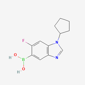molecular formula C12H14BFN2O2 B7954843 (1-Cyclopentyl-6-fluoro-1,3-benzodiazol-5-yl)boronic acid 