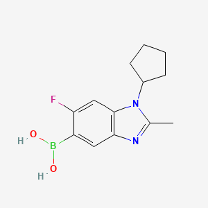 molecular formula C13H16BFN2O2 B7954880 (1-Cyclopentyl-6-fluoro-2-methyl-1,3-benzodiazol-5-yl)boronic acid 