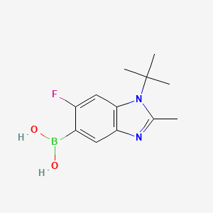 molecular formula C12H16BFN2O2 B7954890 (1-tert-Butyl-6-fluoro-2-methyl-1,3-benzodiazol-5-yl)boronic acid 